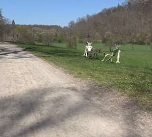Sculptoura Frühstück im Freien
