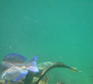 Unterwasser