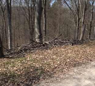Geologischer Lehrpfad Kirnbachtal