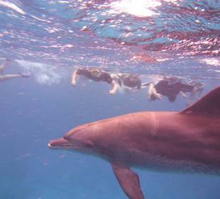 Hu hu hier bin ich!!!