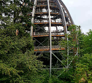 Baumwipfelpfad Bayerischer Wald 
