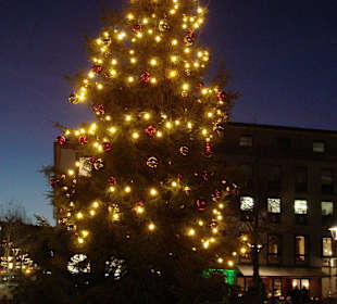 Der Baum vor dem Theater