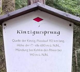 Kinzigsee