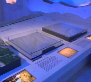 Nationalparkzentrum Haus der Berge