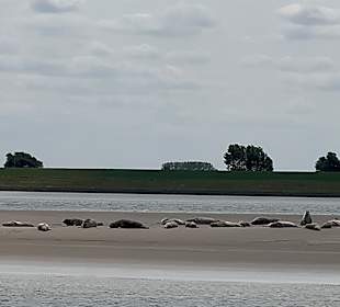 Ausblick