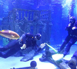 Antalya - Aquarium Park