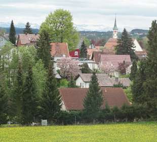 Blick auf die Altstadt