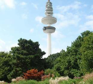 Blick auf den Funkturm aus Planten un Bloomen