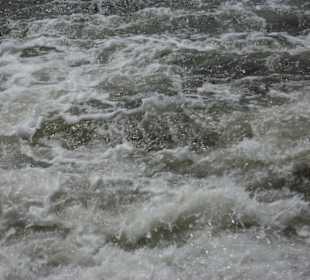 Strömung während der "Wende" 