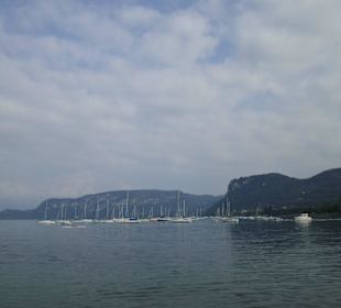 Bardolino