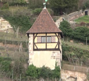 Neckarhaldentor