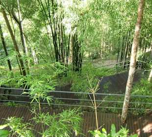 Weg nach untern zur ehemaligen Bahnstrecke