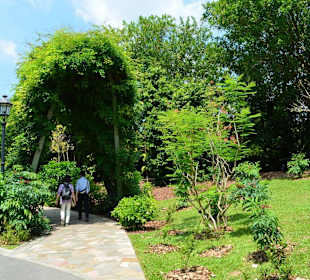 Botanischer Garten Singapur