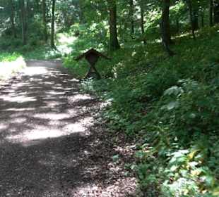 Premiumwanderweg "hochgelegen"