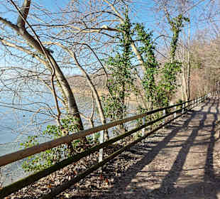 Wandern Friedrichshafen