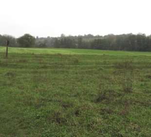 Naturschutzgebiet Listhof