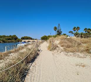 Strand Playa/Platja de Muro