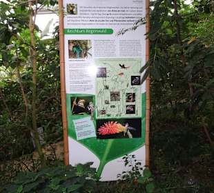 Infotafel im Tropenhaus