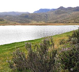 Cotopaxi Nationalpark