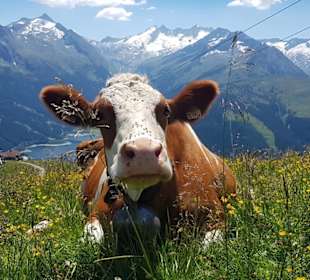 Wandern Königsleiten