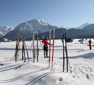 In nächster Nähe herrliche Loipen