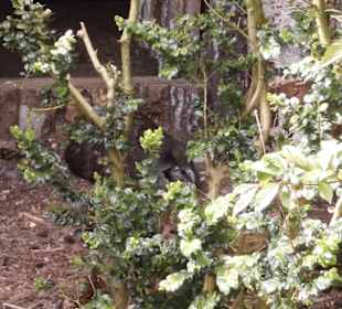 Weltvogelpark Walsrode