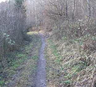 Schönbuch Schaichtal