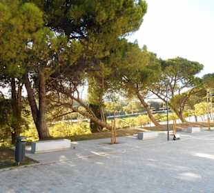Eduardo VII Park