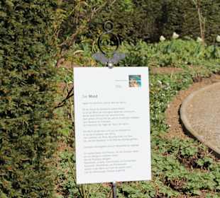 Planetengarten - Der Mond