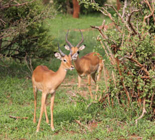 Schön stehen bleiben