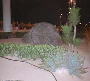 Gartenanlge bei Nacht