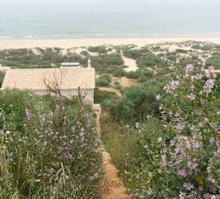 Ruhiger Dünenstrand östlich von Monte Gordo