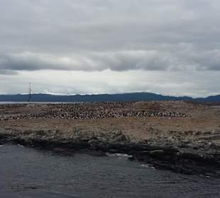 Bootsfahrt Beaglekanal