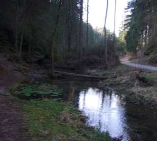 Linker Bereich Wanderweg
