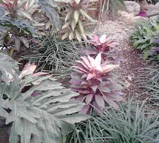 ELE Tropenparadies "in Asien"