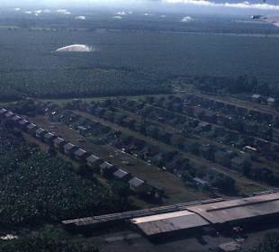 Die Plantagen der United Fruit Company