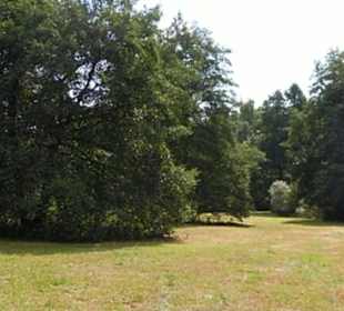 Naturschutzgebiet Forchenkopf Wittlensweiler