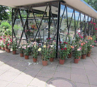 Rosengarten Zweibrücken