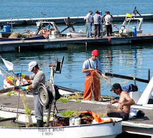 Fisherman in port of Olhão
