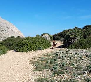 Cala Bóquer