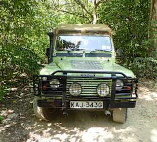 Land Rover, neu aufgebaut für die Shimba Hills