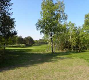 Golfclub Herzogstadt Celle e.V.