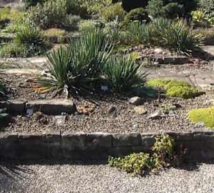 Steingarten - Berggarten