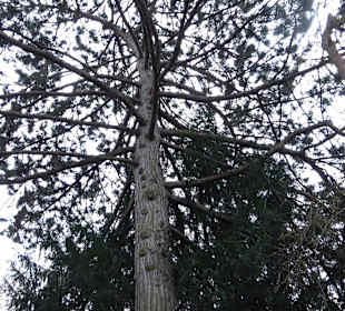 Zoologischer Stadtgarten