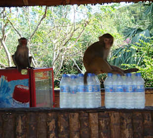 Водичку продают
