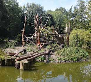 Zoo