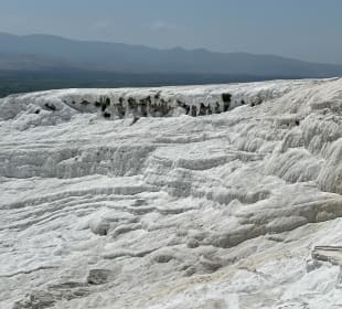 Wunder gibt es immer wieder