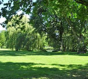 Eindrücke aus dem Alsterpark an der Außenalster