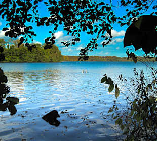 Парк Замка Ойтин.Золотая осень.