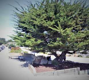 Auf den Spuren der Siedler